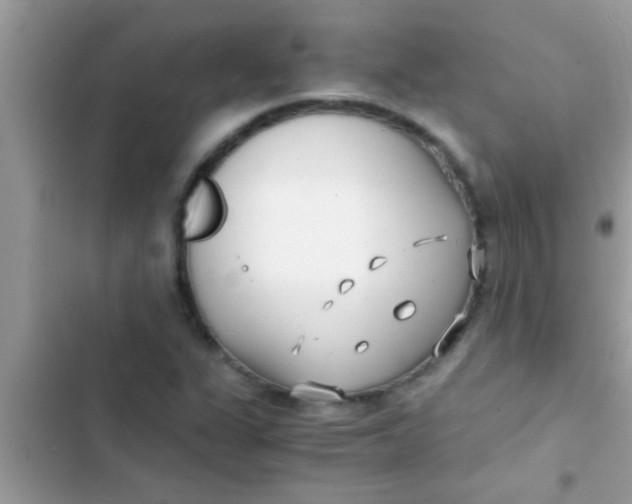 X0000103311311200809191909