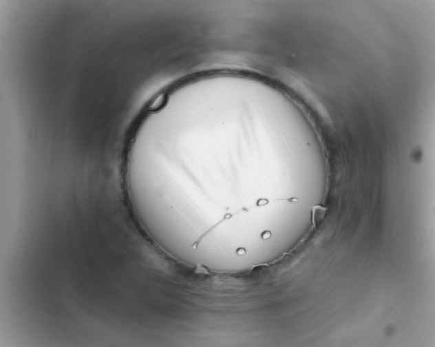 X0000103311312200809191909