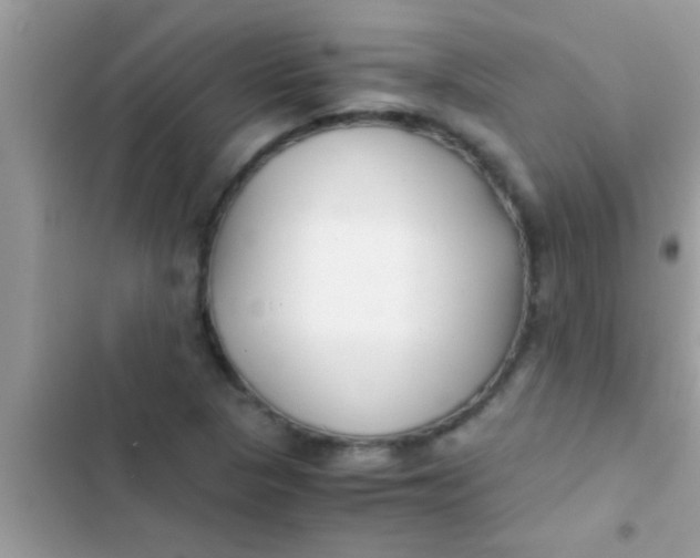 X0000103311313200809191909