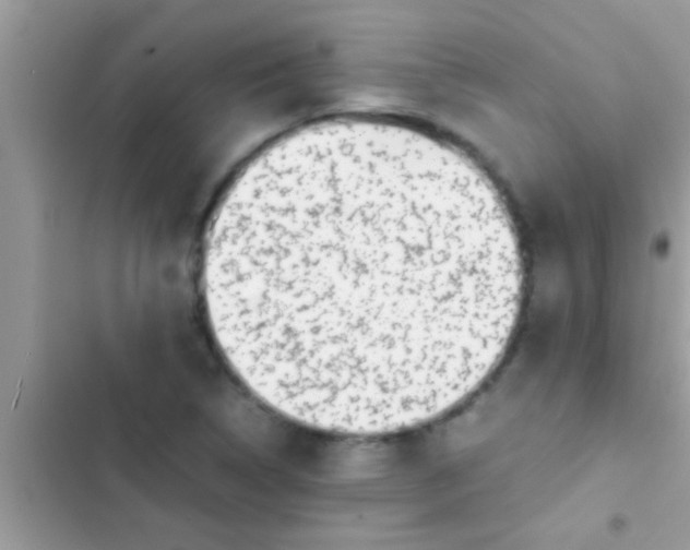 X0000103311314200809191909