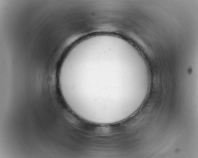 X0000103311315200809191909