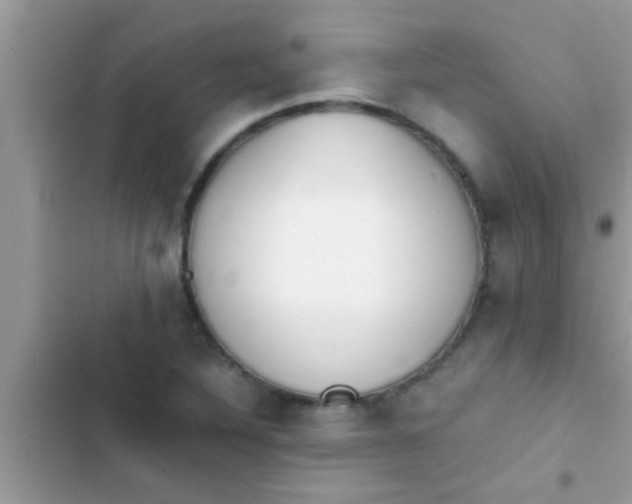 X0000103311316200809191909