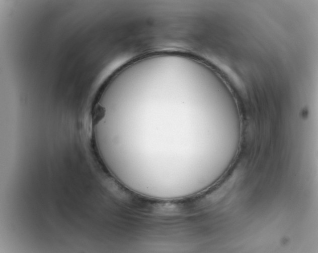 X0000103311317200809191909