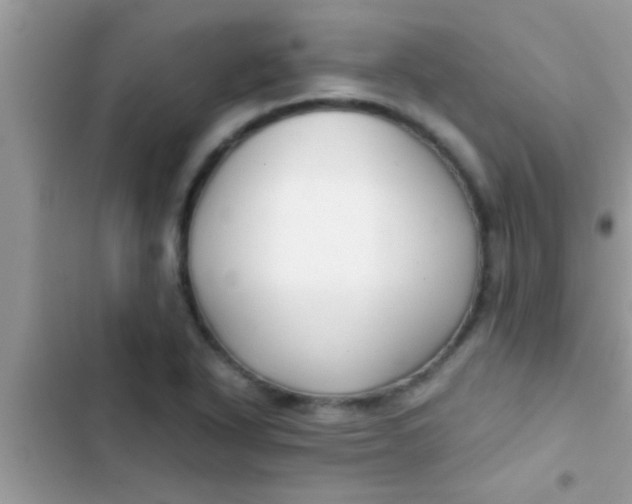 X0000103311318200809191909