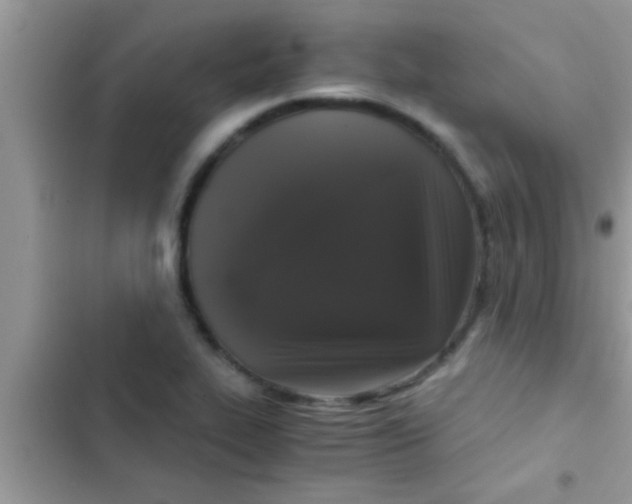 X0000103311319200809191909