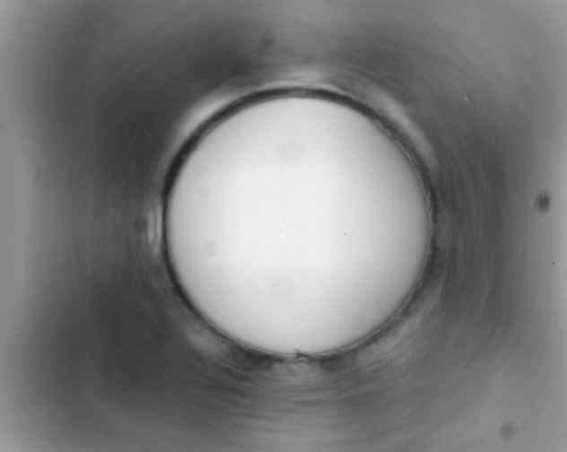 X0000103311320200809191909