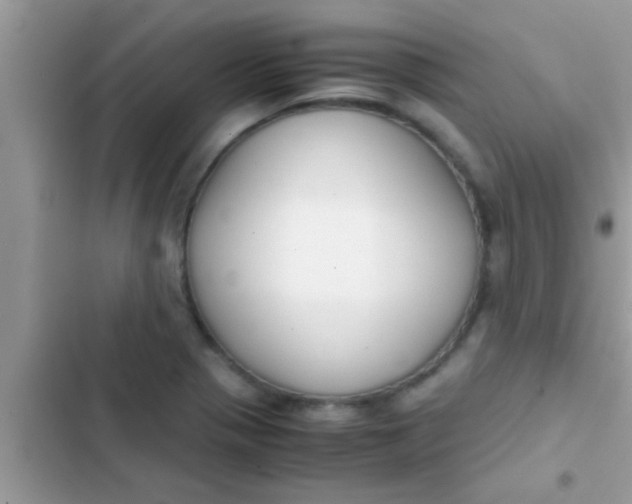 X0000103311321200809191909