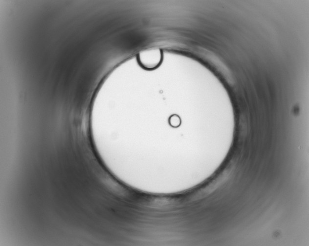 X0000103311322200809191909