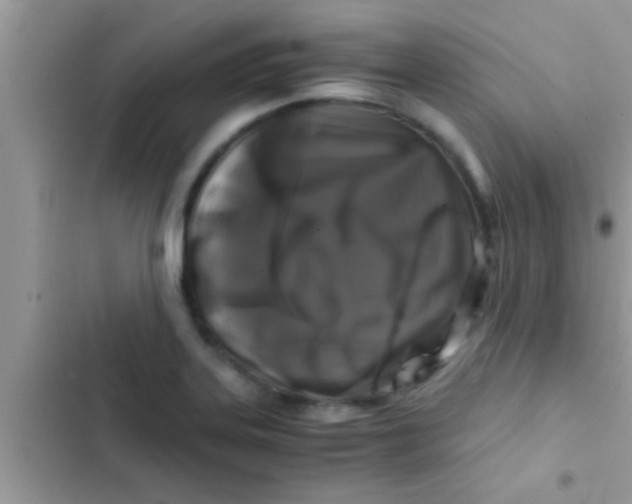 X0000103311323200809191909