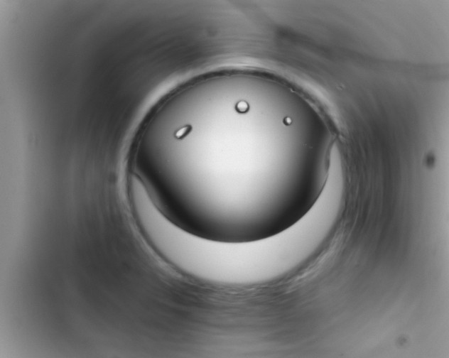 X0000103311326200809191909