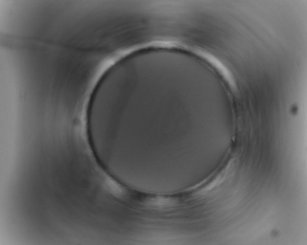 X0000103311327200809191909