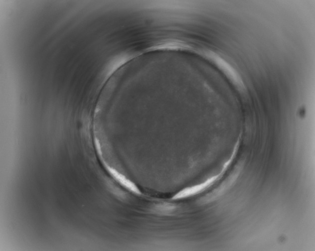 X0000103311329200809191909