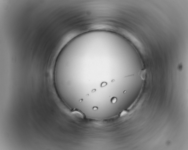 X0000103311330200809191909