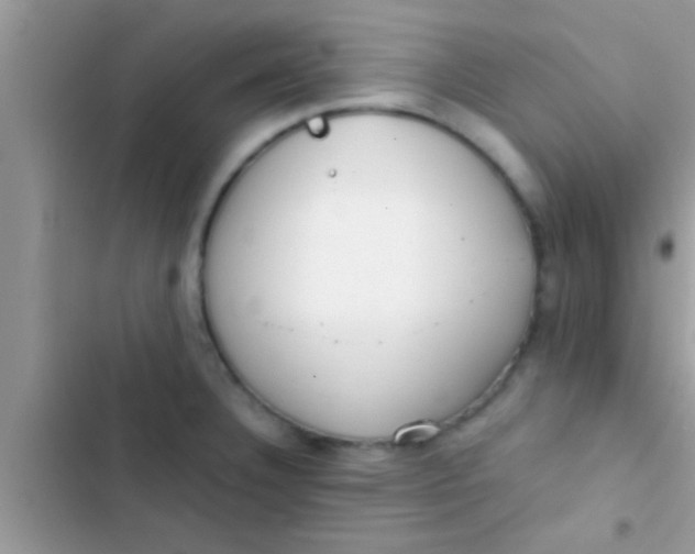 X0000103311332200809191909