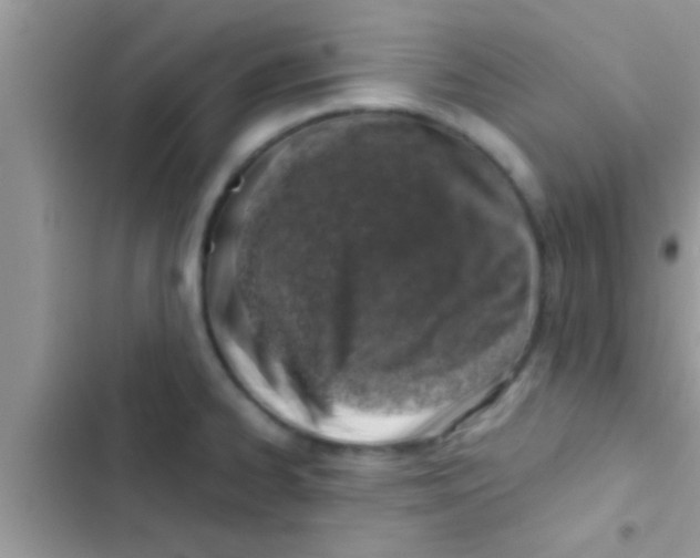 X0000103311334200809191909