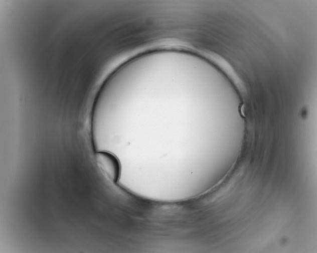 X0000103311335200809191909