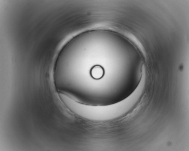 X0000103311336200809191909