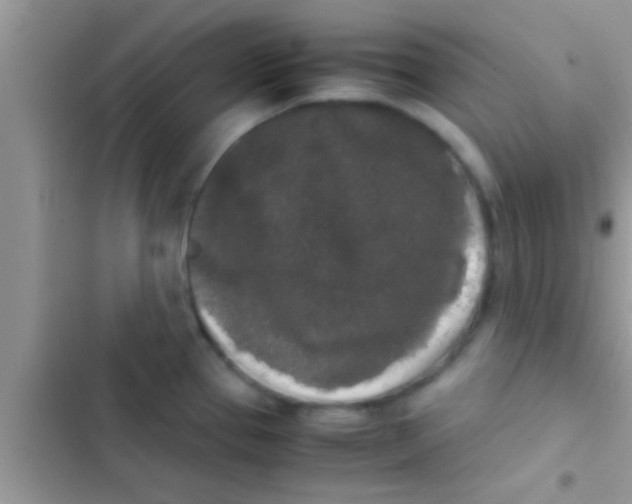 X0000103311337200809191909