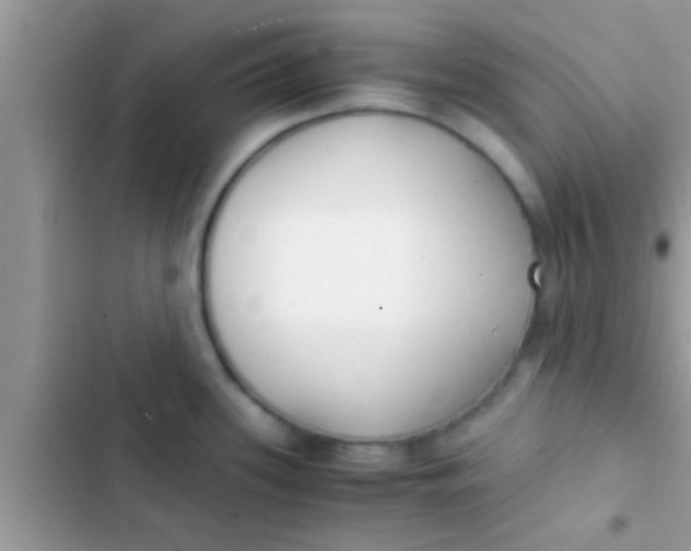 X0000103311339200809191909