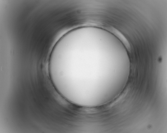 X0000103311340200809191909