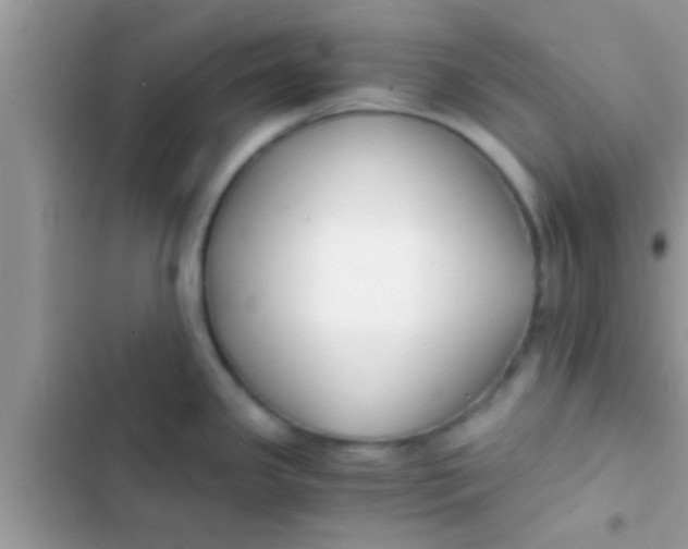 X0000103311341200809191909