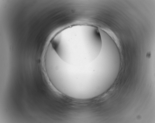 X0000103311344200809191909
