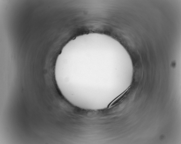 X0000103311345200809191909