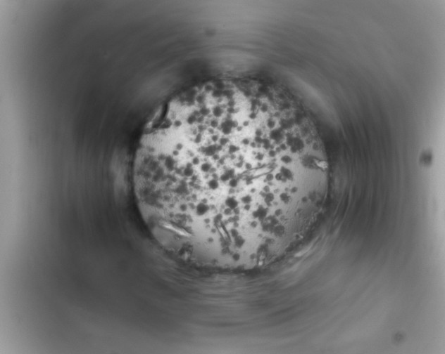 X0000103311346200809191909