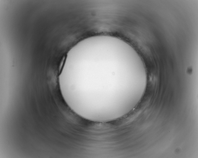 X0000103311348200809191909