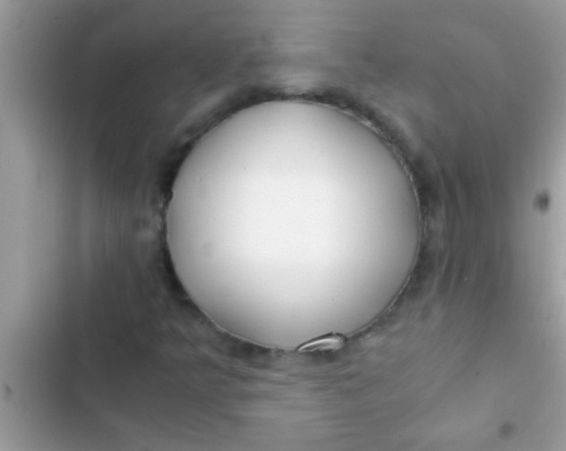 X0000103311349200809191909