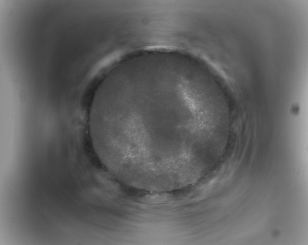 X0000103311351200809191909
