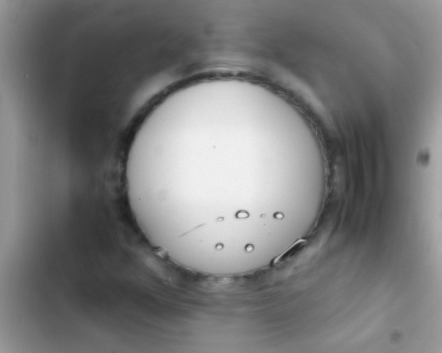 X0000103311352200809191909