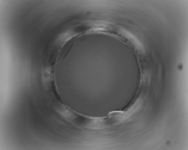 X0000103311353200809191908