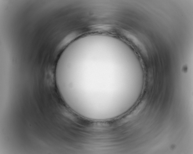 X0000103311354200809191908