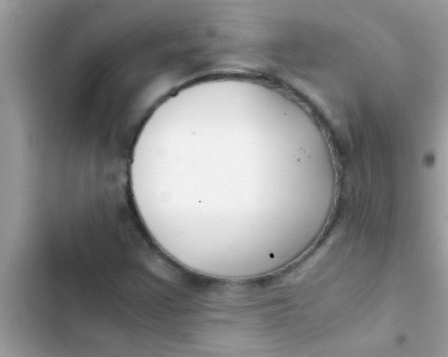 X0000103311355200809191908