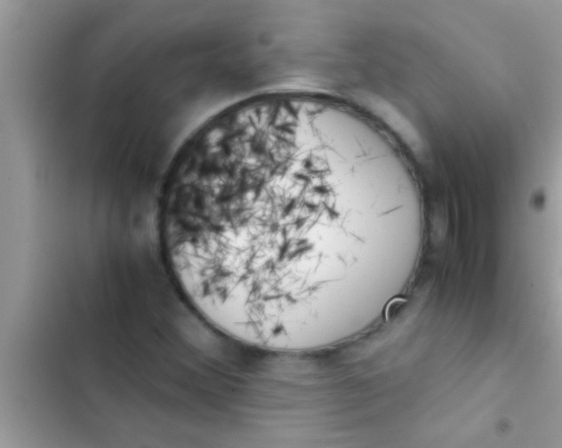 X0000103311356200809191908