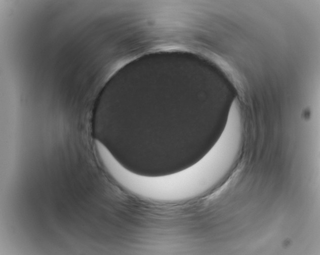 X0000103311361200809191908