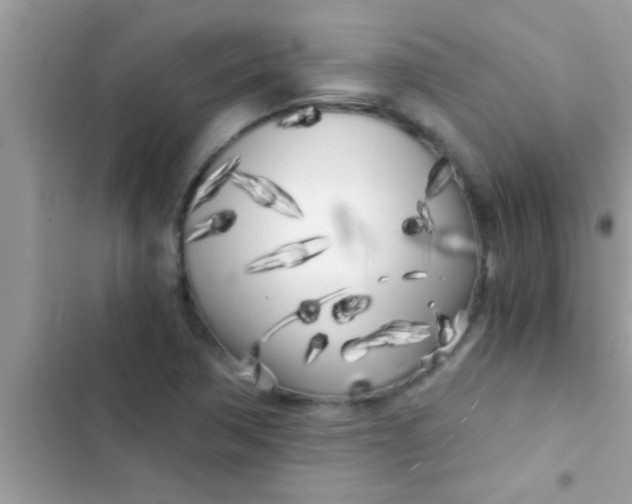 X0000103311362200809191908