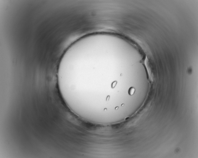 X0000103311363200809191908