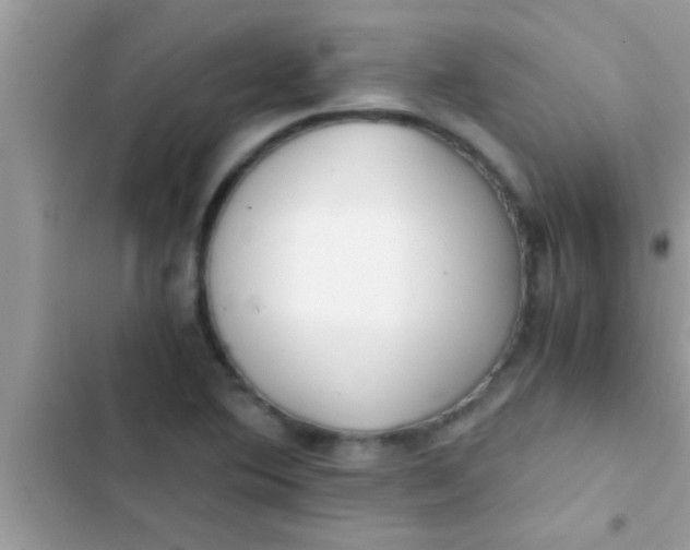 X0000103311364200809191908