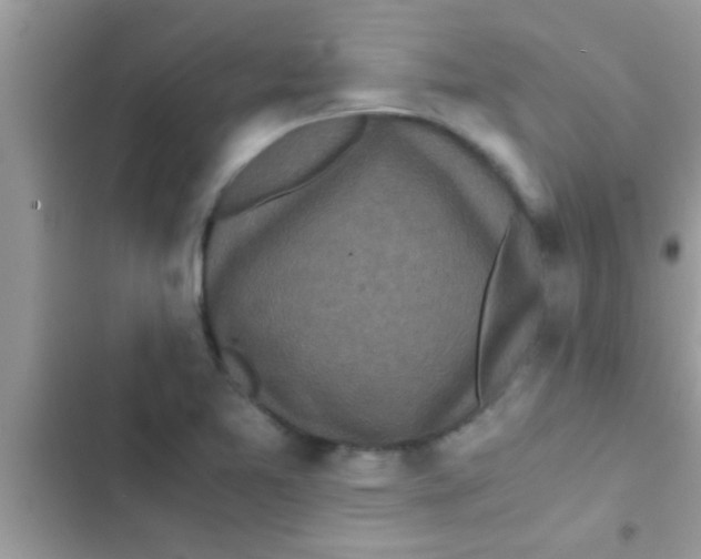 X0000103311365200809191908