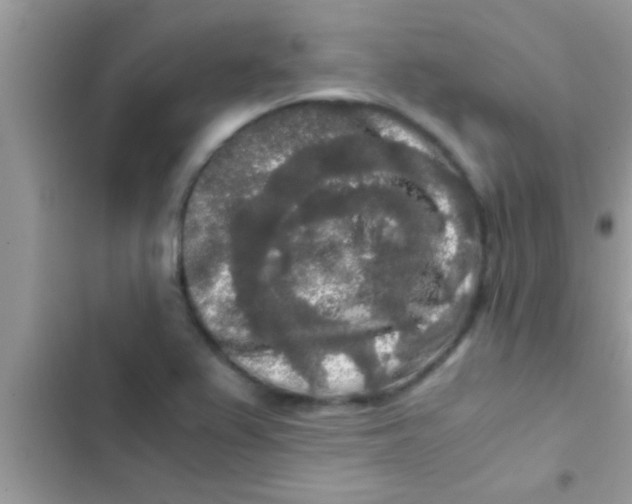 X0000103311367200809191908