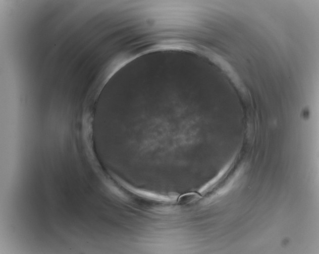 X0000103311369200809191908