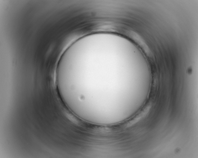 X0000103311370200809191908