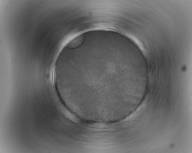 X0000103311371200809191908