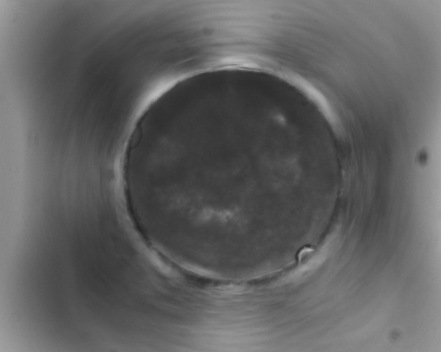 X0000103311373200809191908