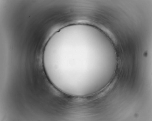 X0000103311374200809191908