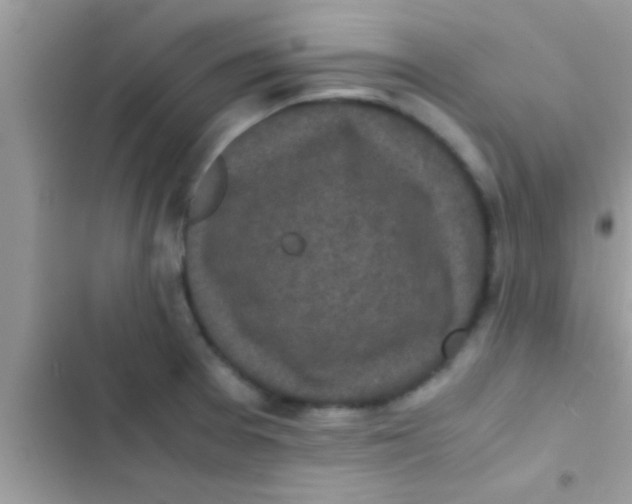 X0000103311377200809191908