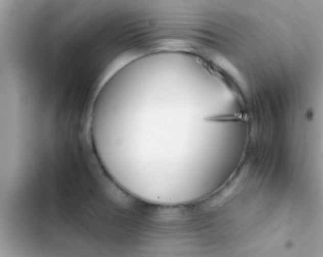 X0000103311378200809191908