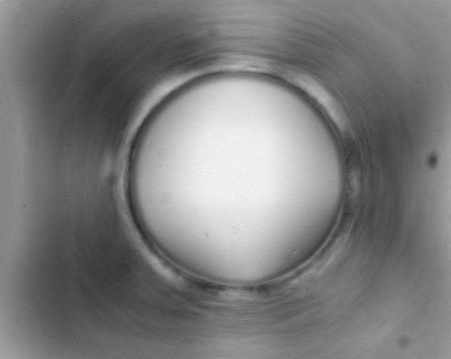 X0000103311379200809191908